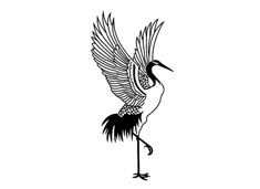 張開翅膀的丹頂鶴簡筆畫圖片